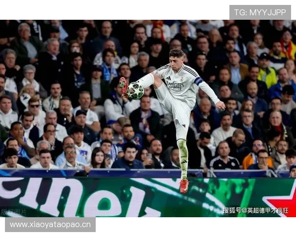 巴尔韦德在安切洛蒂体系中的进攻角色解析